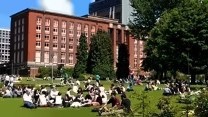 伯明翰大学