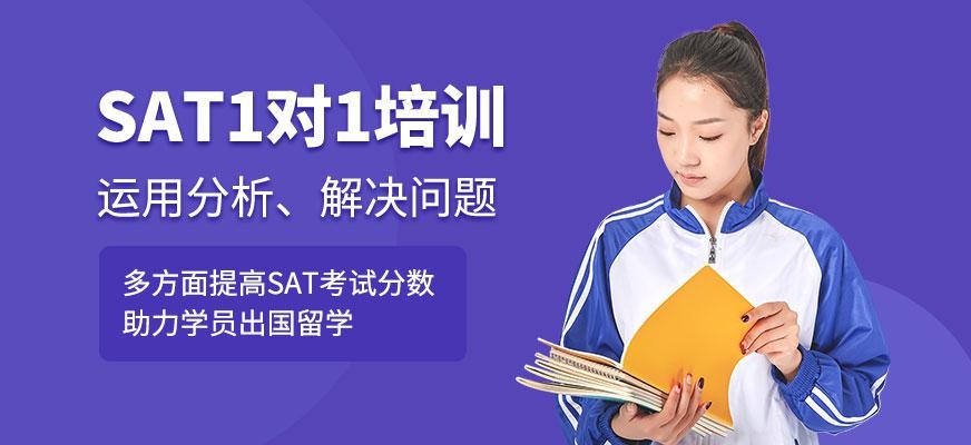 广州新航道sat一对一培训机构
