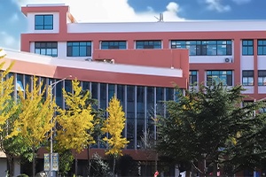 青岛通济实验学校国际部北京外国语大学国际本科定向班课程招生简章