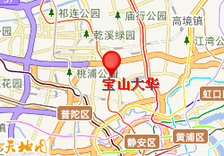 宝山大华