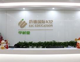 深圳启德国际学树堂少儿英语