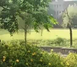 交大校园风景