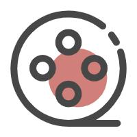 教学缺失