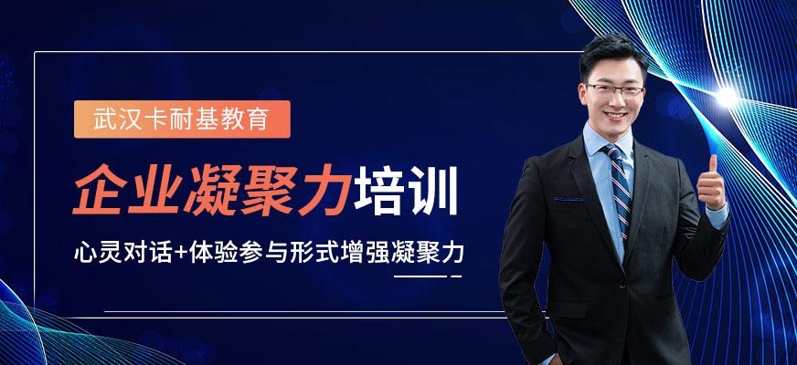 武汉卡耐基教育企业凝聚力培训班