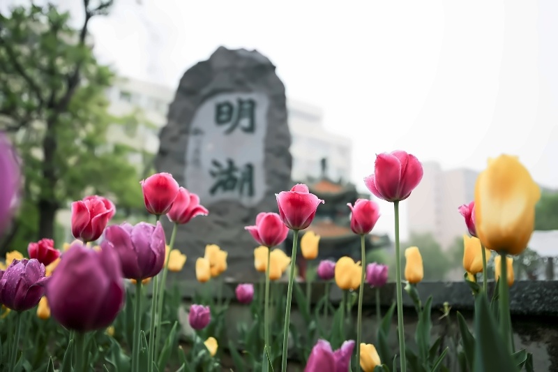 北京交通大学