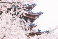 体验试听