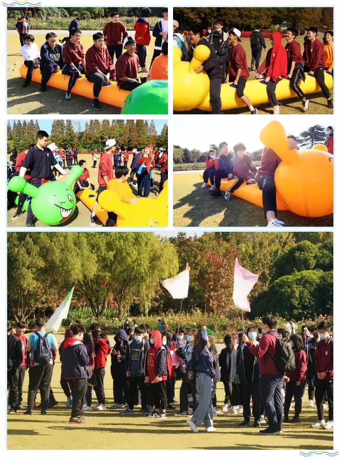 秋游活动.jpg