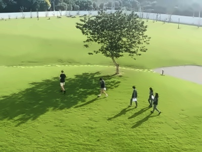 上海诺美学校