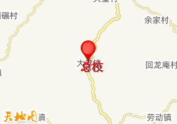 总校