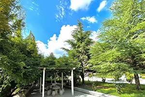 青岛志贤中学中韩班招生简章