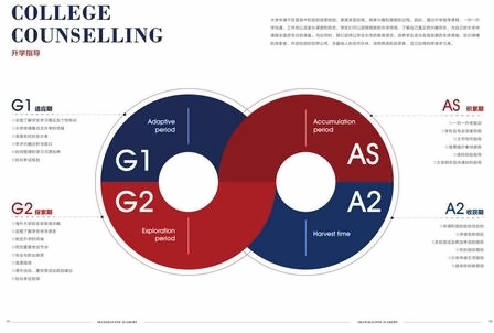 上海德英乐升学指导.jpg