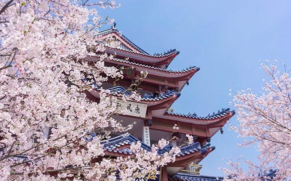 和风日语中级口译班