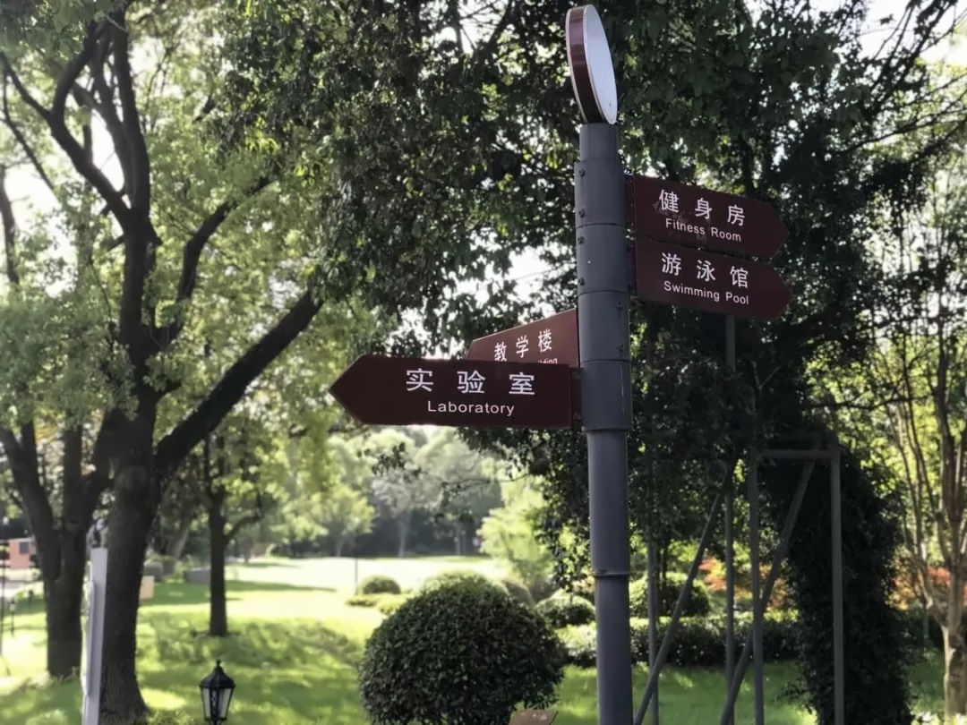 被绿意*裹着的校园.jpg