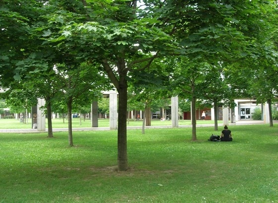 图卢兹第二大学
