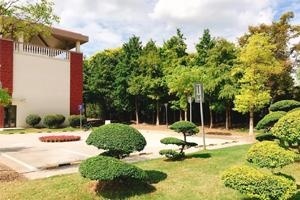 上海天华英澳美学校校园绿化