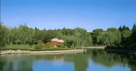 美华威睿达思学校.jpg