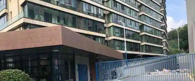 南京英国学校怎么样2