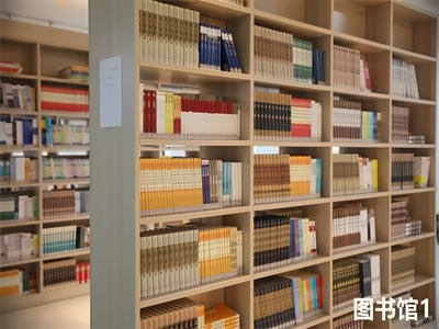 武汉光谷未来学校国际部图书馆