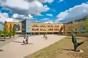 萨里大学