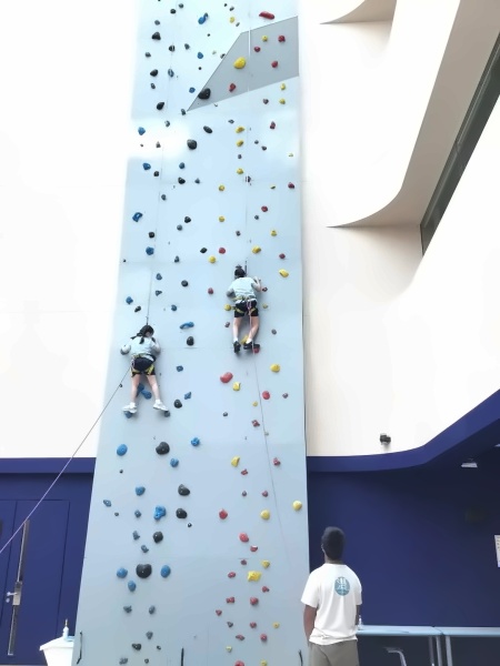 香港威雅学校