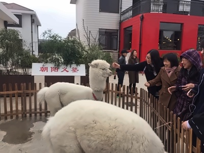 上海朝阳义塾日语特色学校毕业典礼的神秘嘉宾