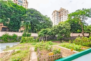 加拿达外国语学校生态园