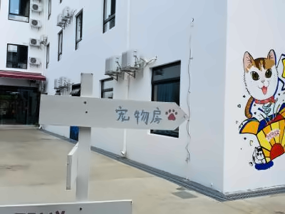 上海朝阳义塾日语特色学校