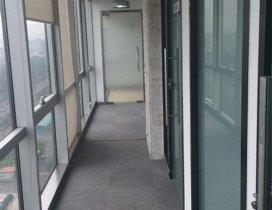 北京致美国际教育