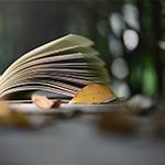 课后辅导