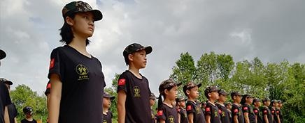 参训内容
