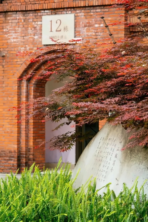 电子科技大学