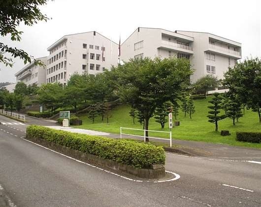 明星大学