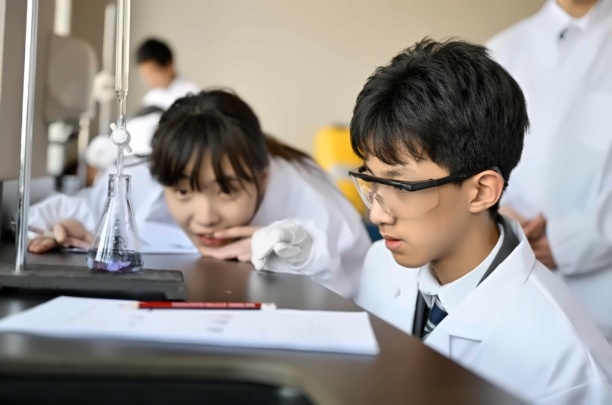 截图20240808154904.jpg