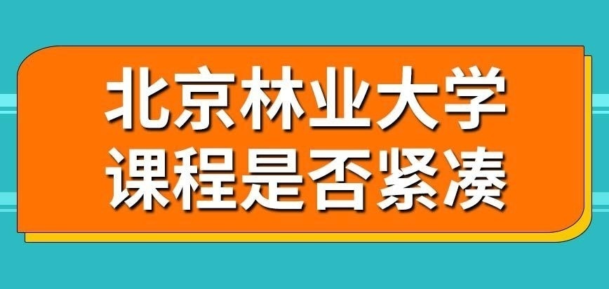 北京林业大学在职研究生学习任务很紧凑吗