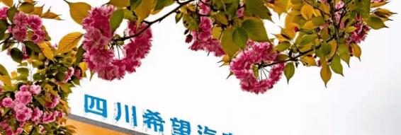 四川希望汽车职业学院单招