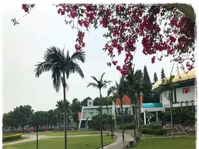 深圳东方英文书院校园一角