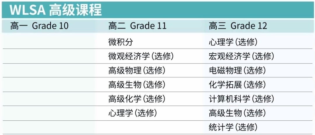 高级课程