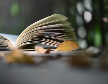 课程简介