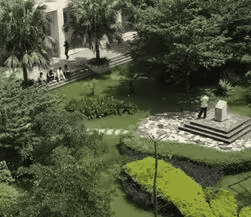 教学楼小花园
