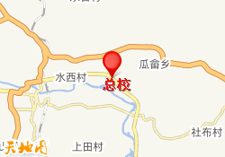 总校