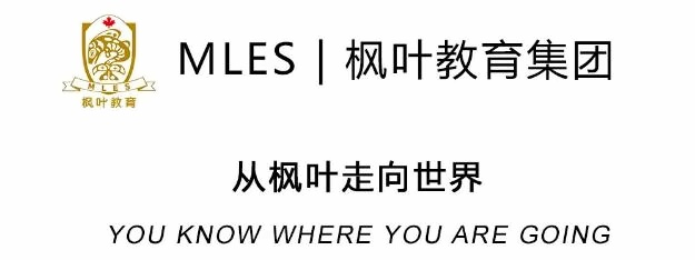 枫叶教育集团.jpg