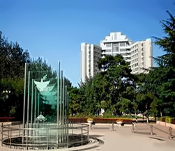 北京理工大学校园环境（三）