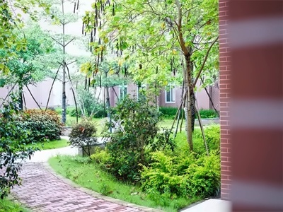 佛山市岭南美术实验中学双语班普高班