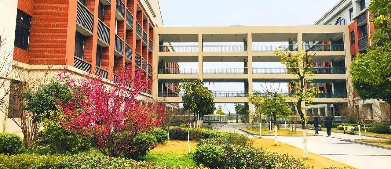 上海枫叶国际学校.jpg