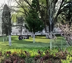 山东工商学院夏日校园