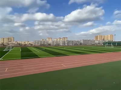 青岛墨尔文中学足球场