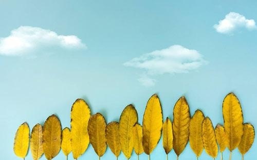 雅思报考G类和A类的区别