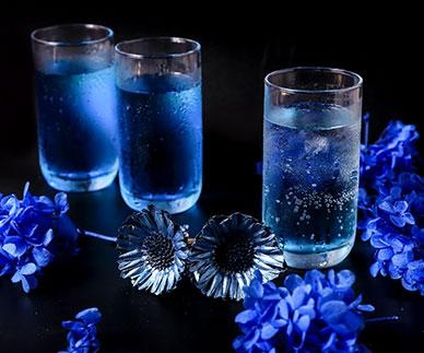 广东省调酒与品酒鉴赏协会