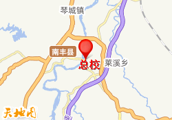 总校