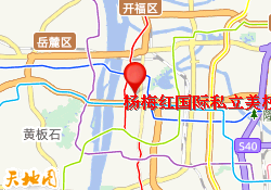 杨梅红国际私立美校